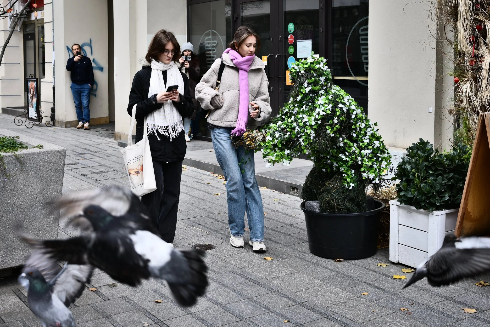 DSC_3409.jpg
