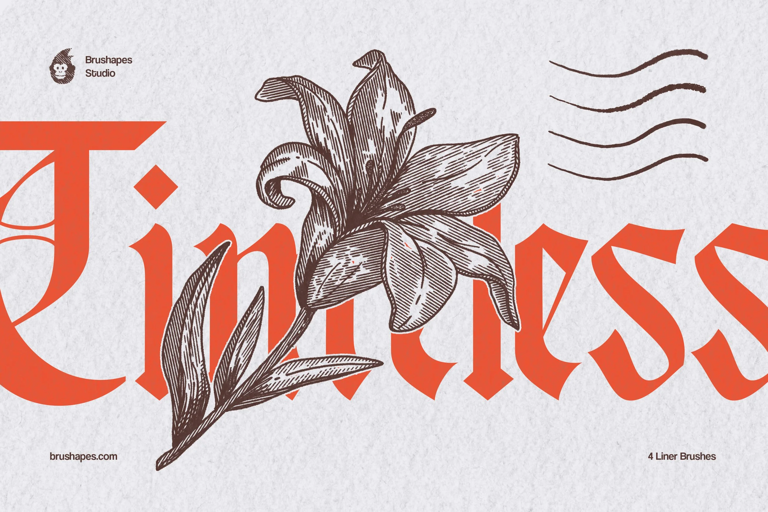 Timeless Engraving Photoshop Brushes 09.jpg