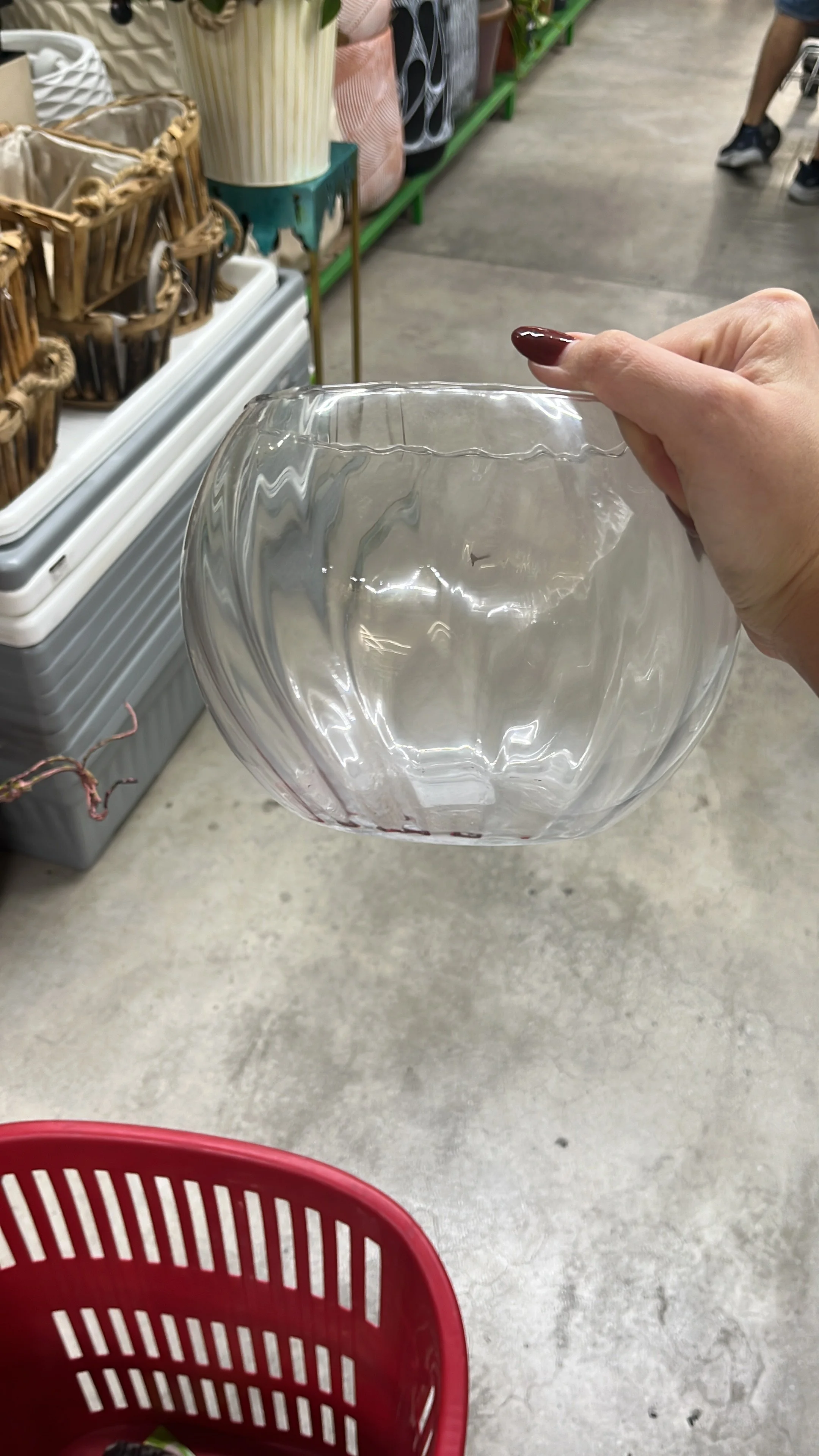 Lama El A_DBE87655-5013-47ED-BF6A-EEFDD8E3622A.JPG