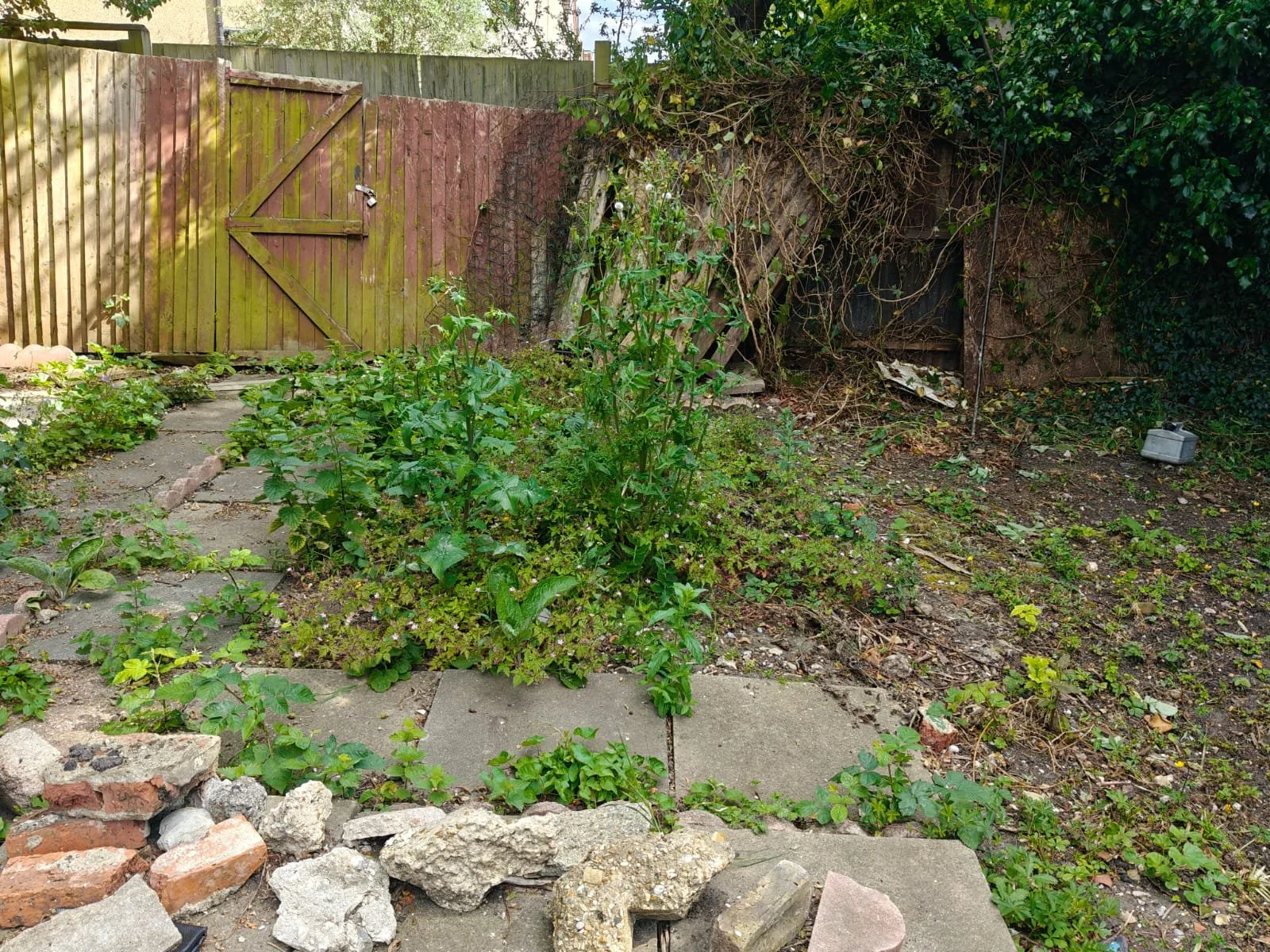 WhatsApp Image 2025-06-02 at 15.30.58 (1).jpeg