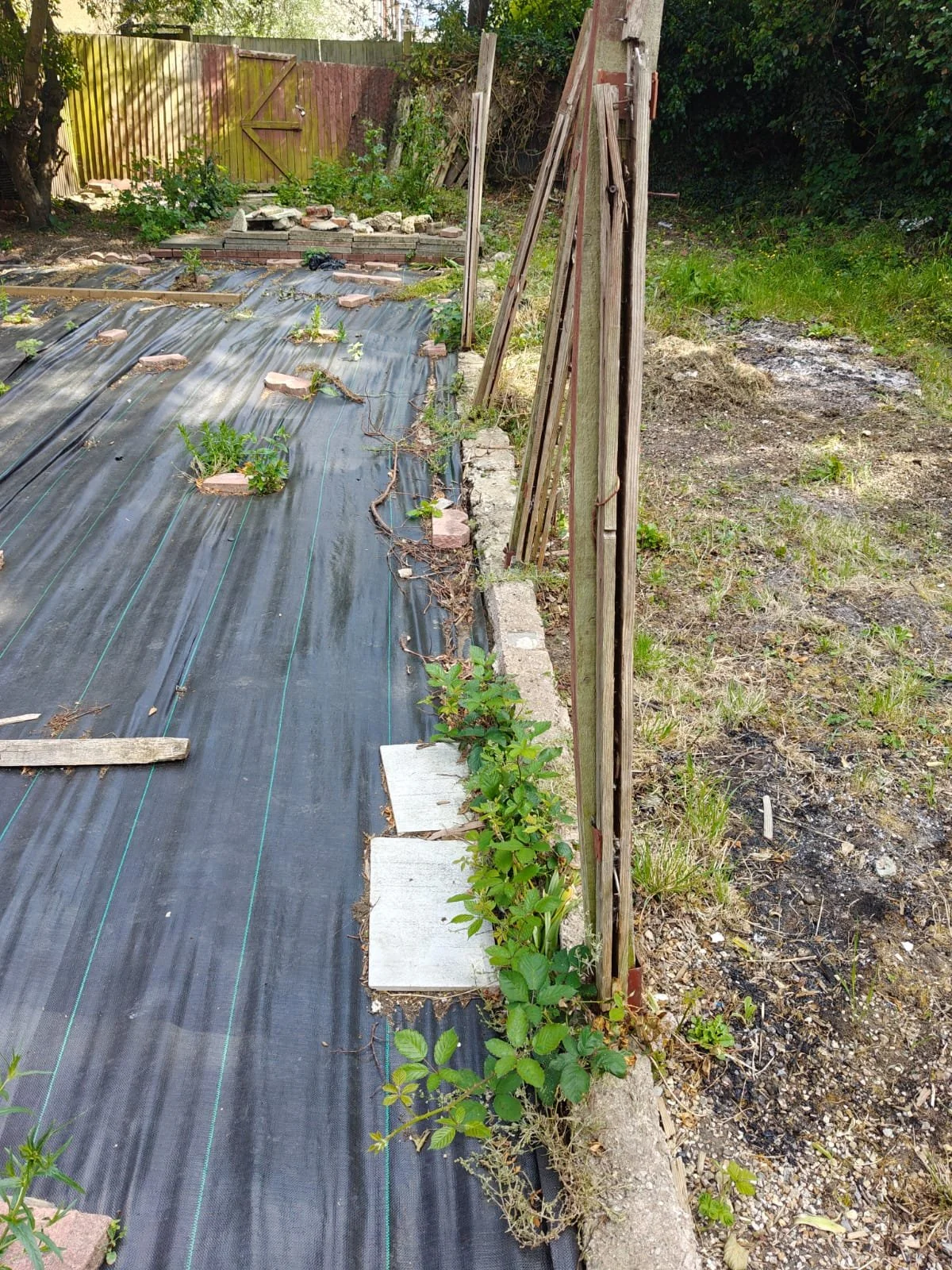 WhatsApp Image 2025-06-02 at 15.30.57 (1).jpeg