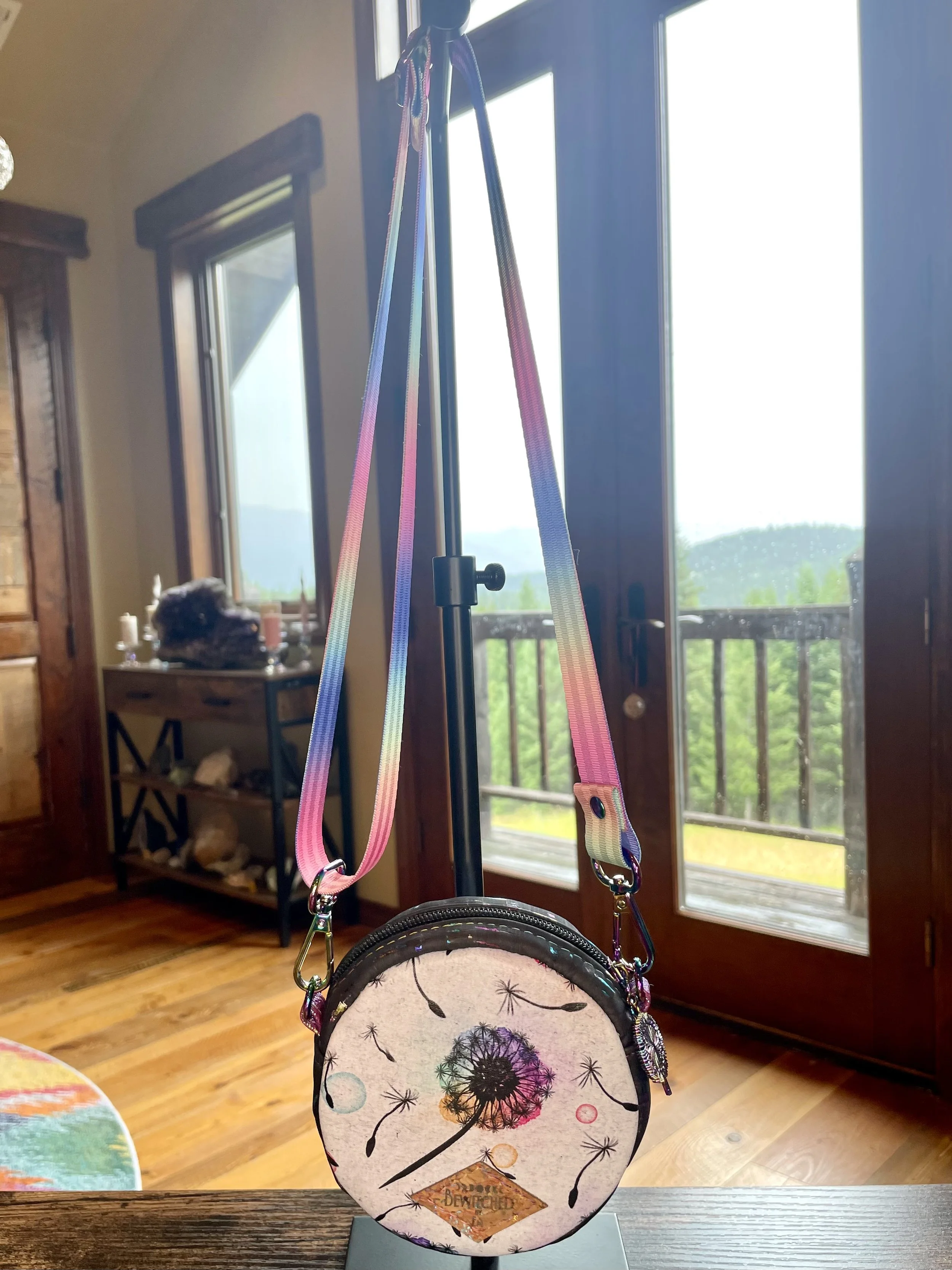 Small Rainbow Dandelion Circle Purse