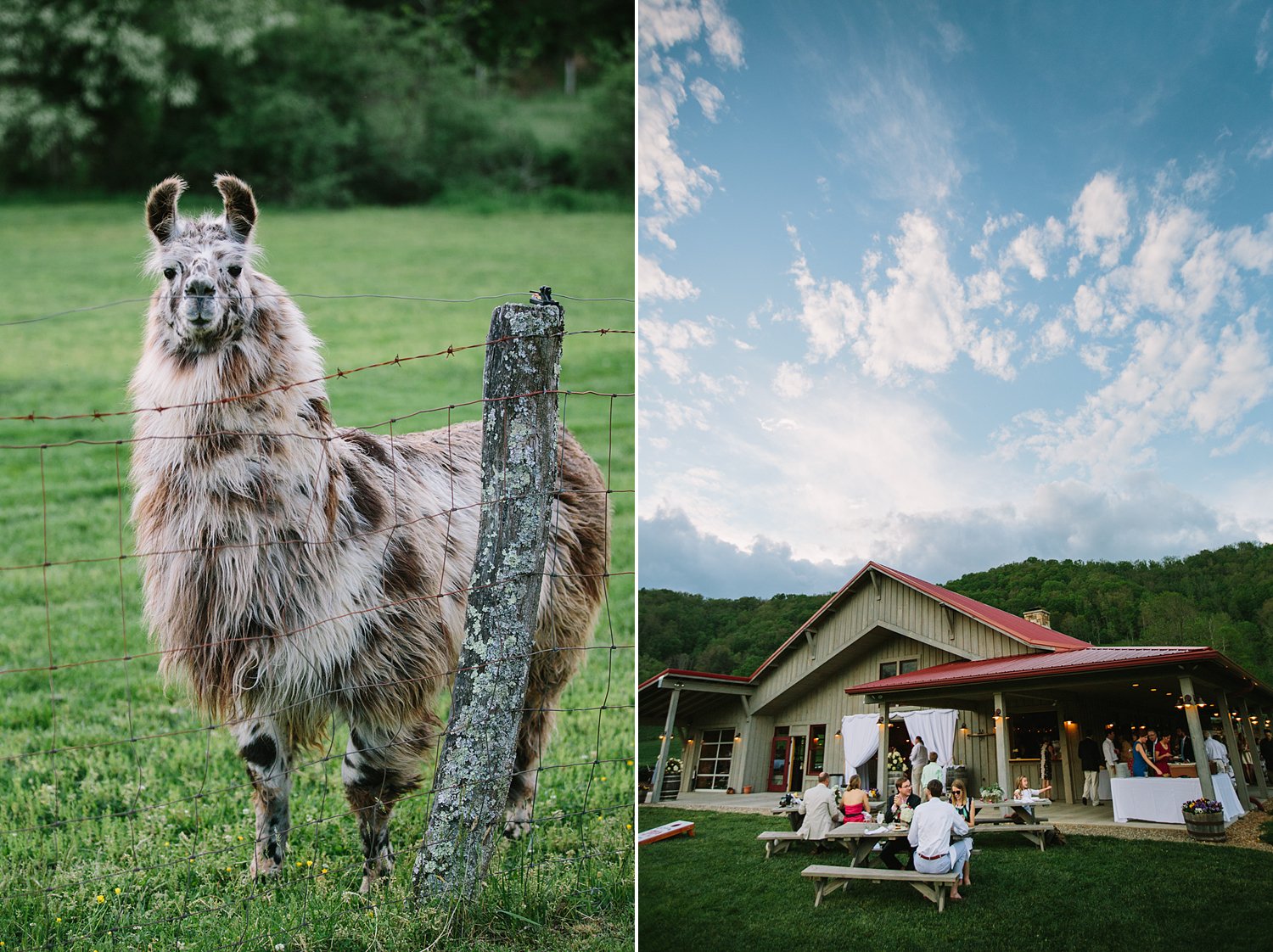 jeremy-russell-claxton-farm-wedding-1405-49.jpg