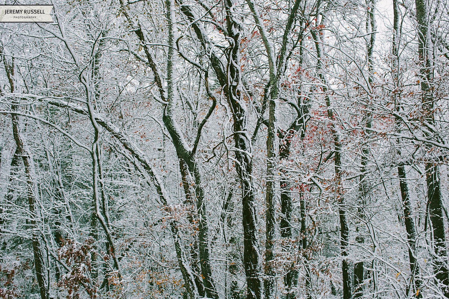 Jeremy-Russell-14-Asheville-Fall-Snow-1.jpg