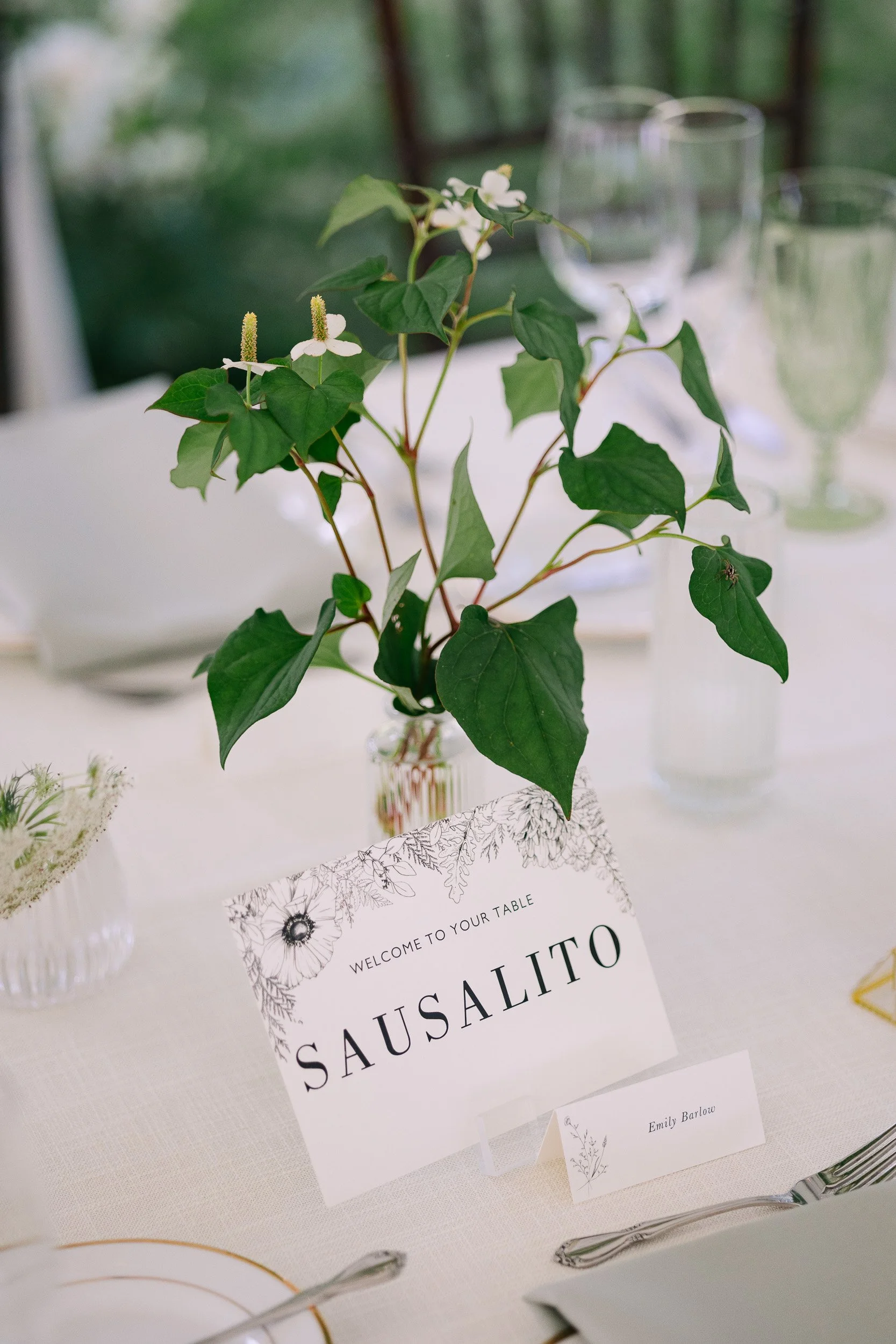 JeremyRussell-Biltmore-Wedding-Asheville-240615-035.jpg