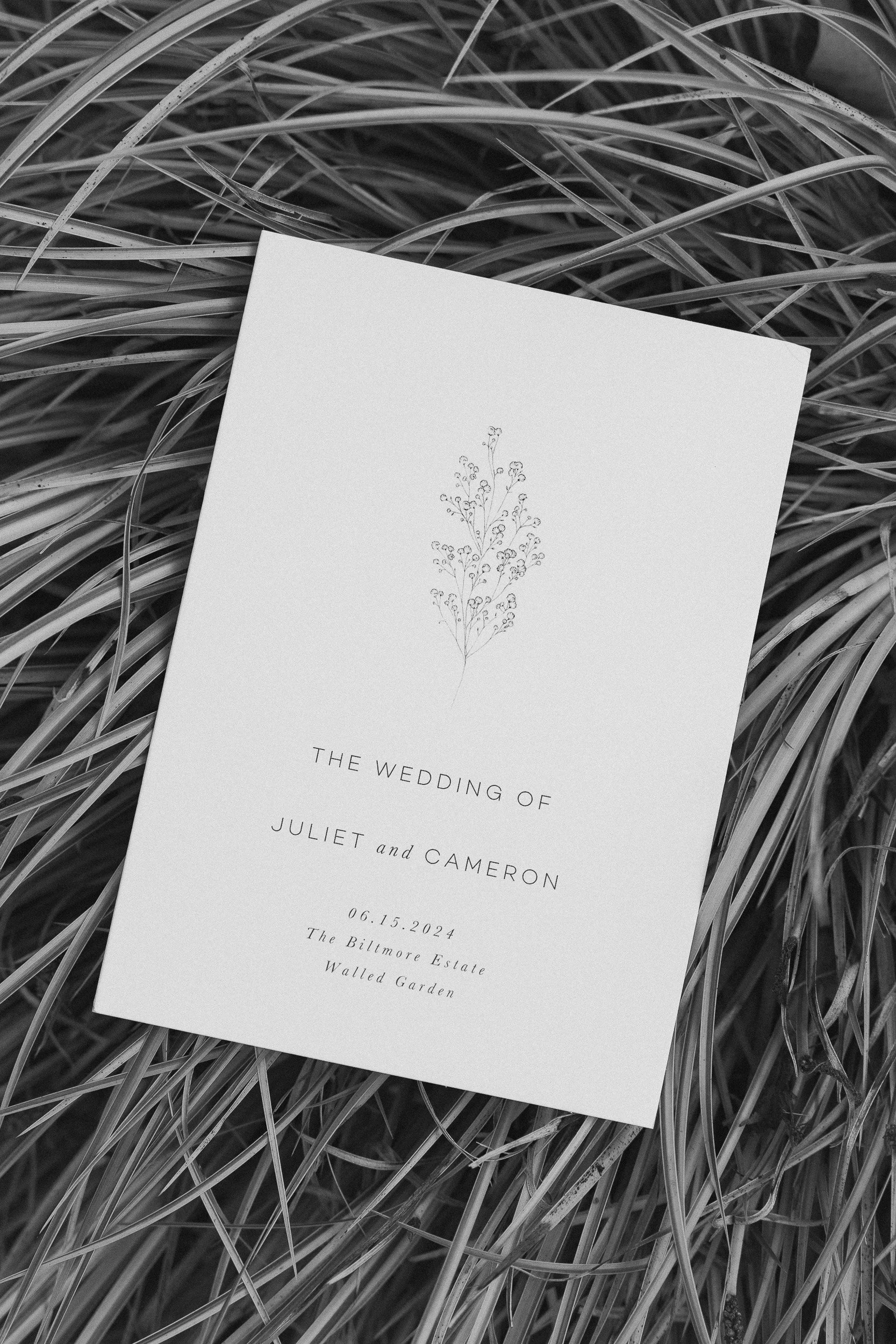 JeremyRussell-Biltmore-Wedding-Asheville-240615-037.jpg