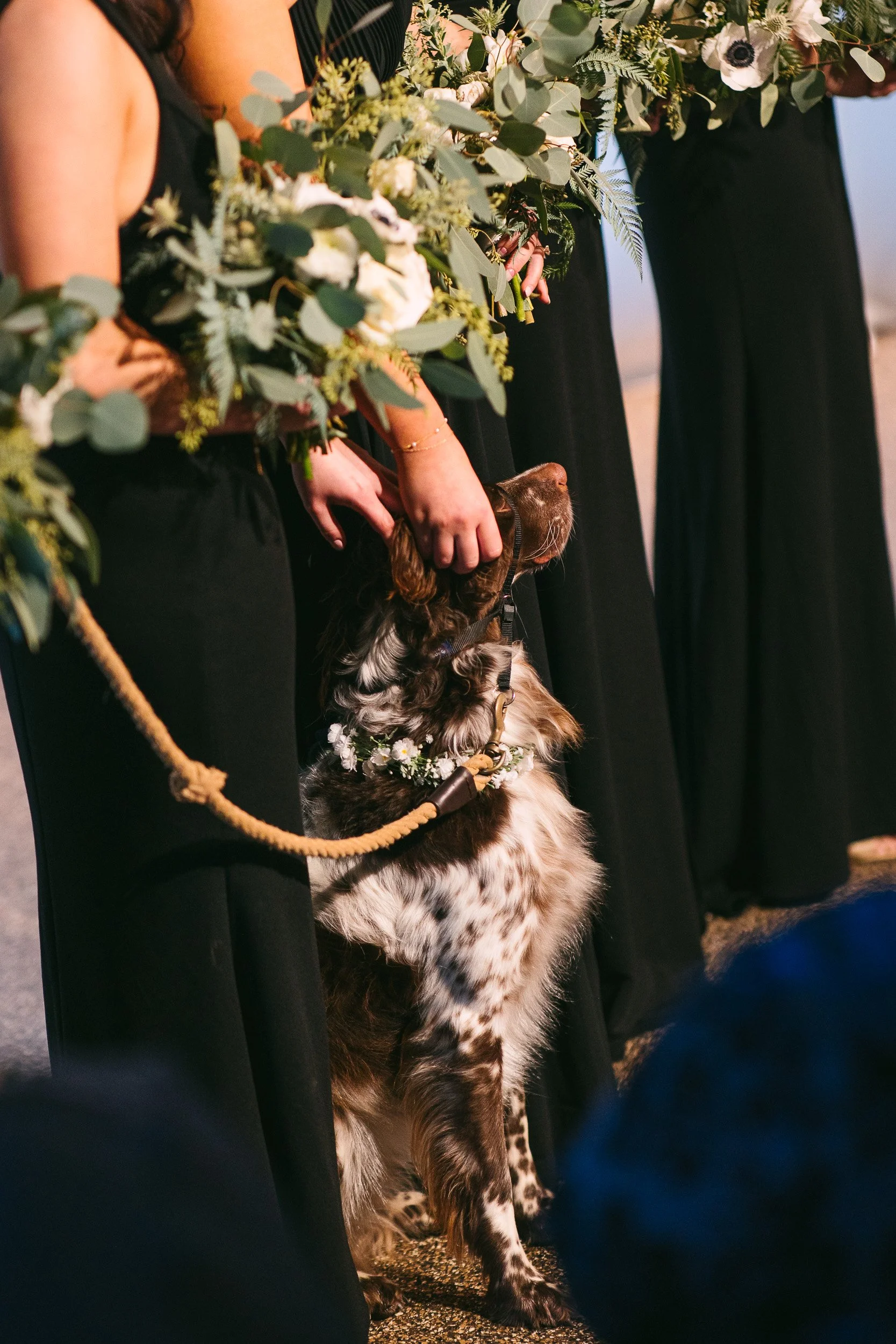 JeremyRussell-The-Venue-Wedding-Asheville-221105-47.jpg