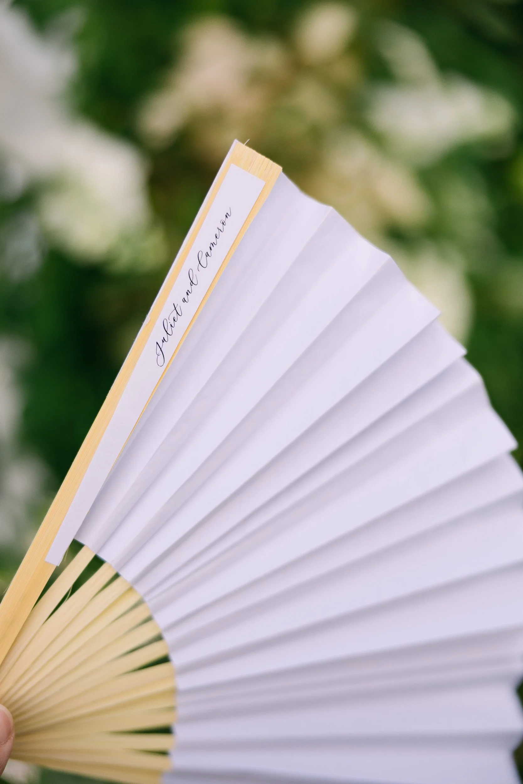 JeremyRussell-Biltmore-Wedding-Asheville-240615-032.jpg