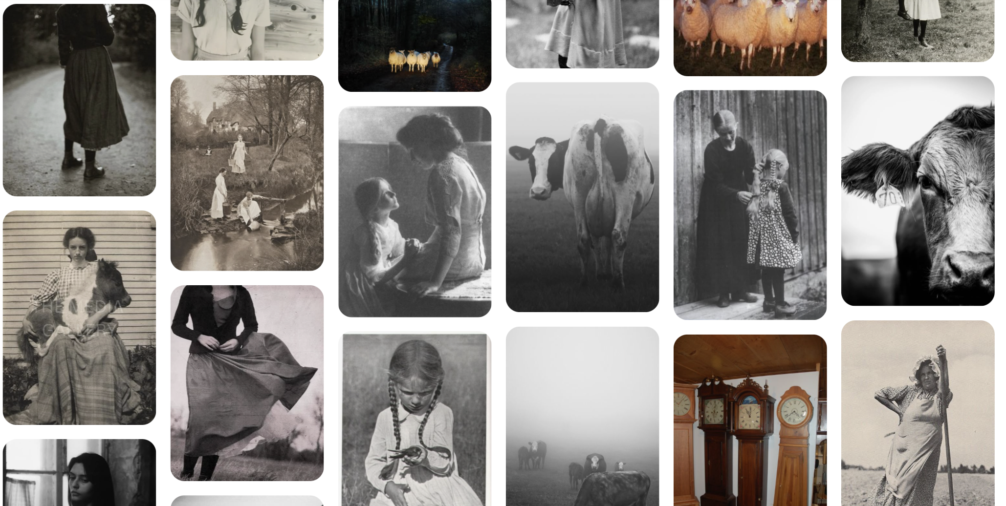 SUMMER AT THE HOMESTEAD