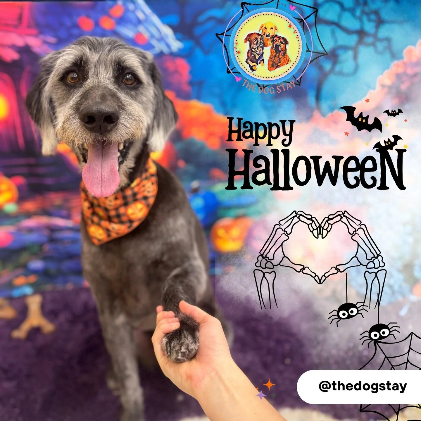 Happy Halloween!!! 🎃🧡🐾

#TheDogStay #PackFam #DogStayHalloween #SilverSpringDogs #downtownsilverspring