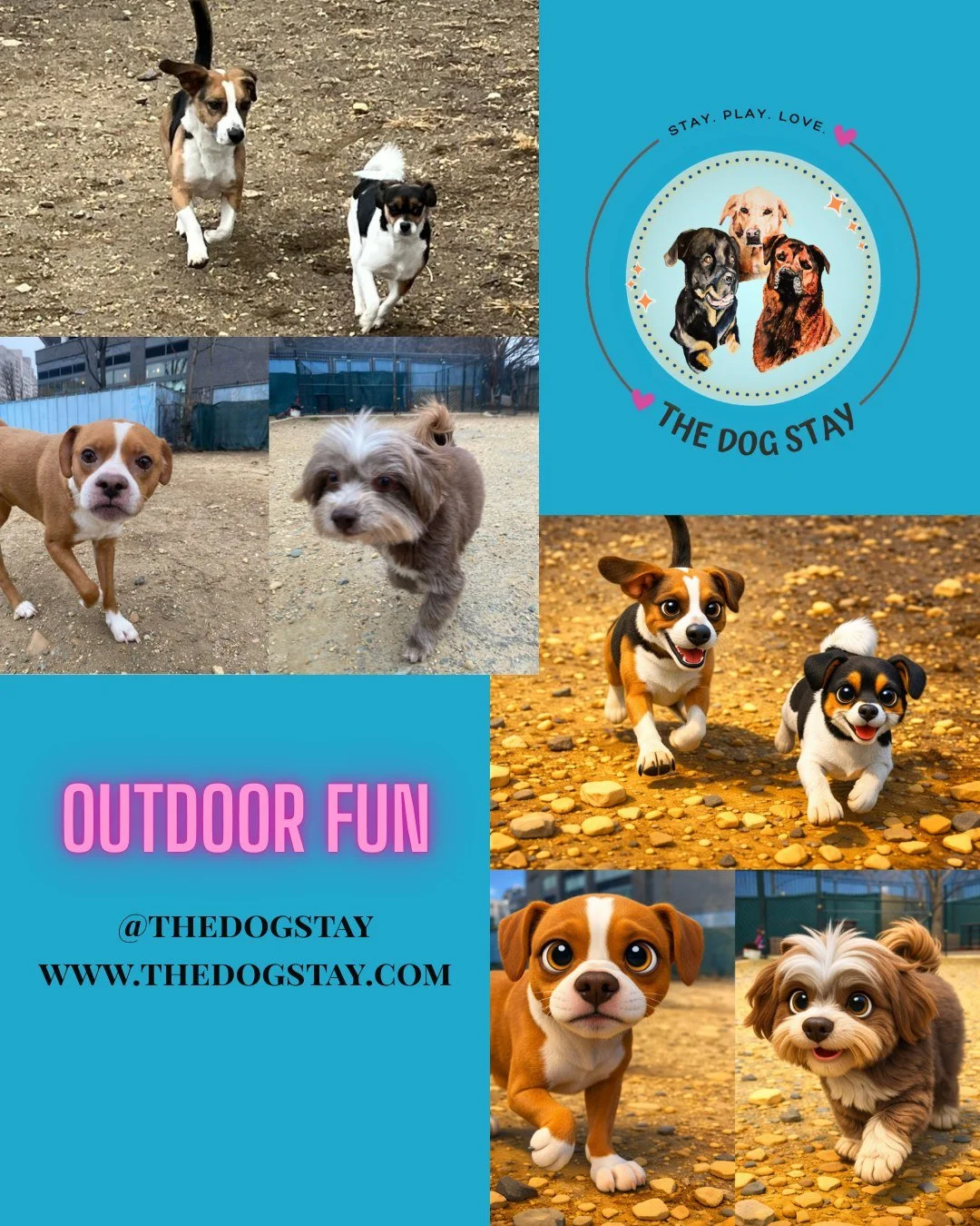 Weather hasn't stopped the outdoor fun for the pups. They stay animated so had to animated them once again.  They are so adorable. 🐾🐾🐾🌥🌥🌥

#TheDogStay #CrateFreeDaycare #HappyDogs #SilverSpringMD #dmvdogs #silverspringdogs #MontgomeryCountyMD @