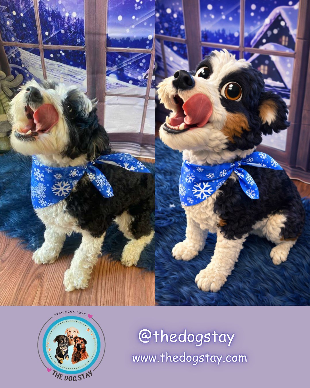 We were able to have a little fun today with our winter background and props. The pups had a great time.  Given the popularity of some cartoon versions, we went ahead and did it again.  They are so much fun.  The last one was our big supervisor. :) ?