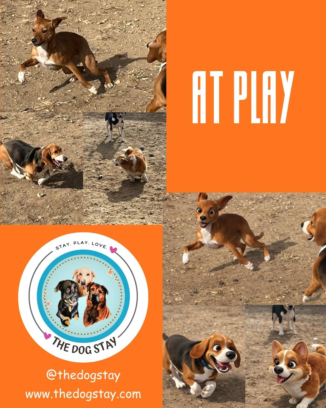 Play hard. Nap harder.
Repeat. 🐾💤✂️
From zoomies to snuggles to spa time &mdash; this is what a full dog day looks like at The Dog Stay.

#TheDogStay #CrateFreeDaycare #HappyDogs #SilverSpringMD #dmvdogs #silverspringdogs #MontgomeryCountyMD #AIThe