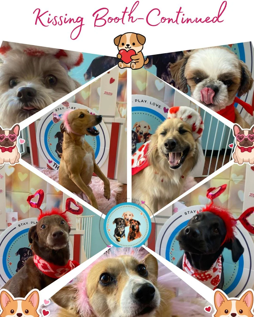 Warning: entering the kissing booth may result in unsolicited affection 💋🐾
Our pups took their roles very seriously&mdash;delivering kisses, cuddles, and plenty of tail wags. Honestly, this might be the best job any of us has ever had.

#TheDogStay