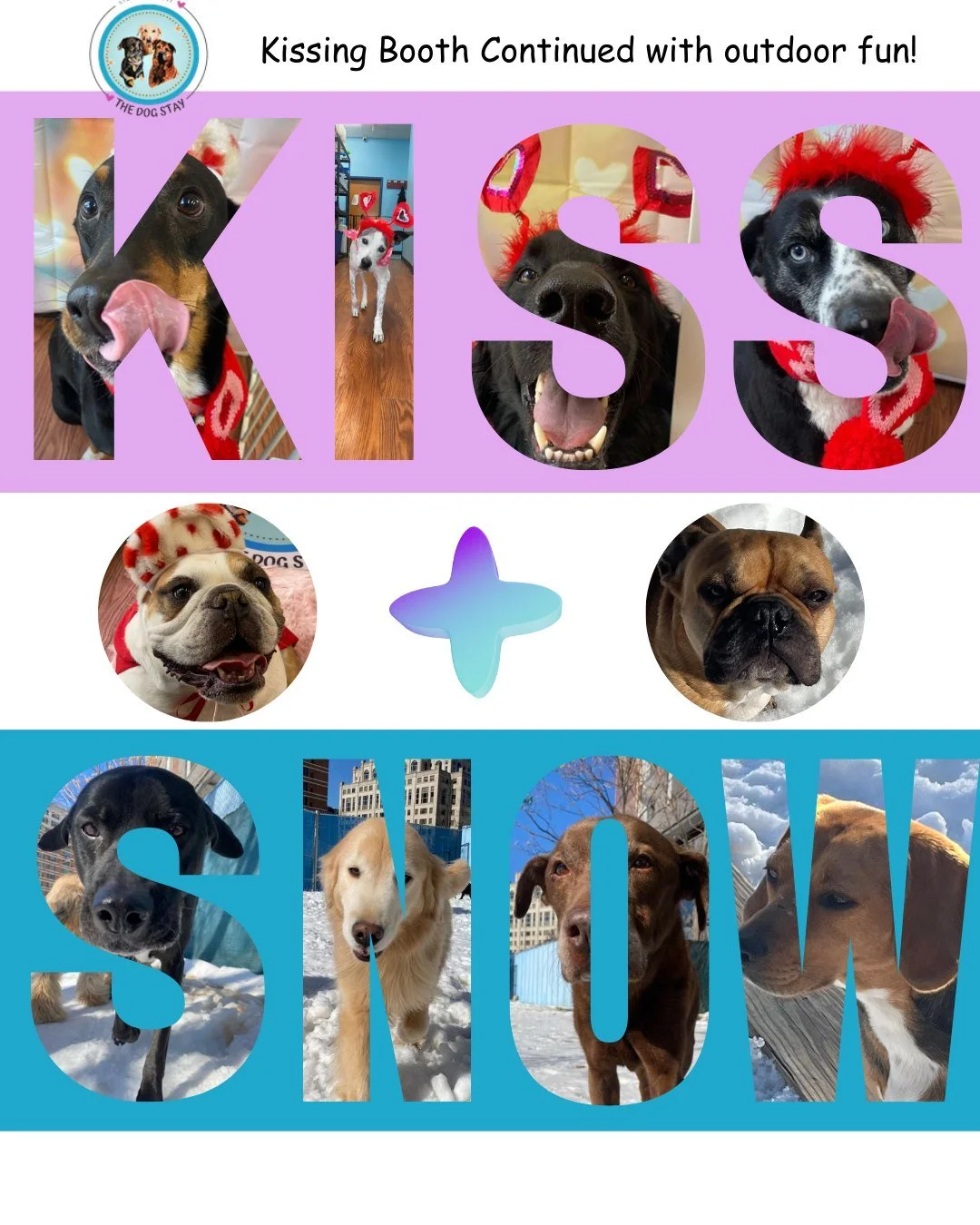 Valentine vibes on the inside 💕
Snow day fun on the outside ❄️
Same happy pups, same big fun at The Dog Stay 🐶
👉 Swipe to see both sides of the pack

#TheDogStay #CrateFreeDaycare #HappyDogs #SilverSpringMD #dmvdogs #silverspringdogs #MontgomeryCo