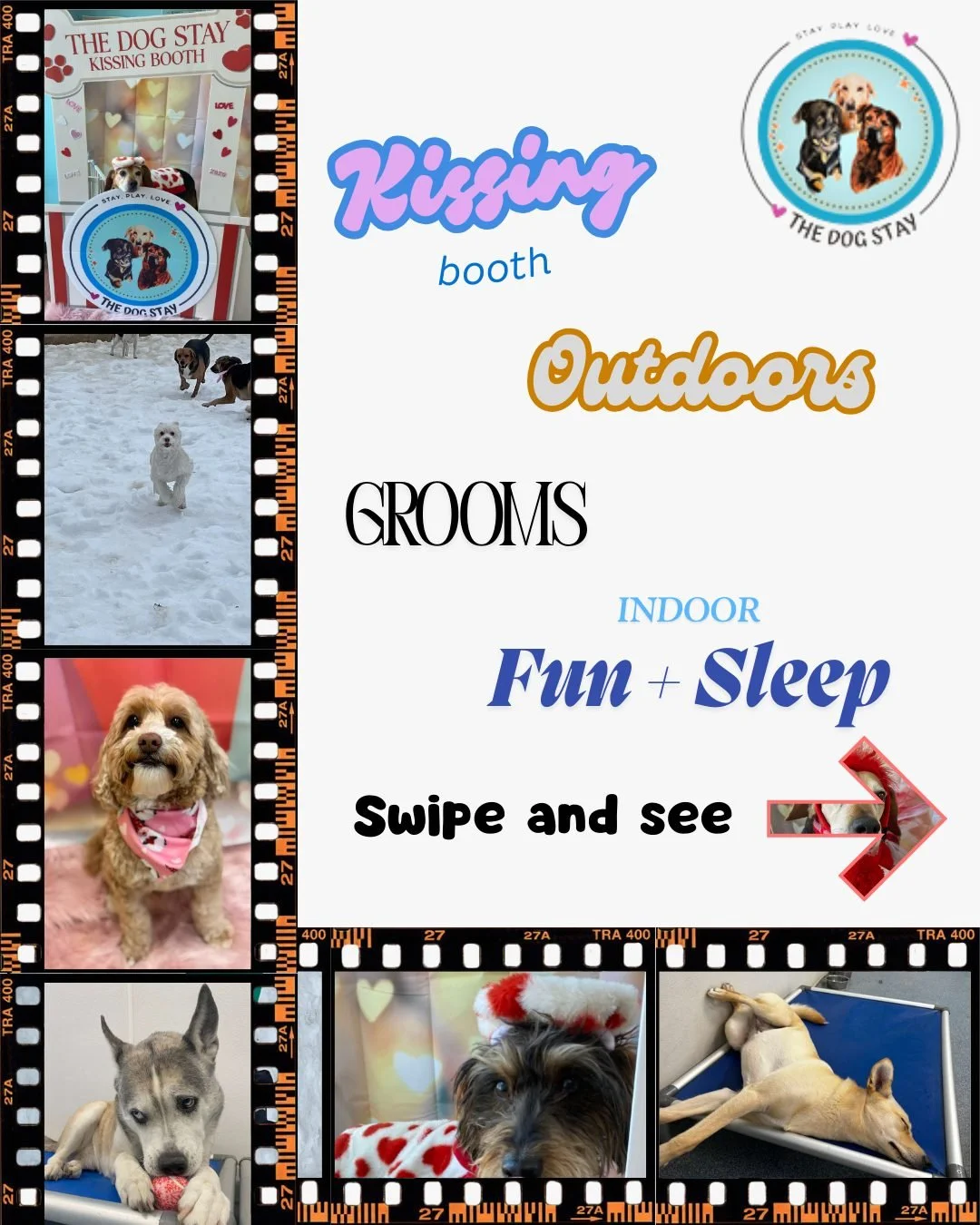 Snow fights. Puppy kisses. Fresh spa vibes. Zoomies inside. Comfy naps.
It&rsquo;s Super Bowl weekend at The Dog Stay &mdash; and we&rsquo;re playing all the best parts, not just football! 🏈🐾💖

#TheDogStay #CrateFreeDaycare #HappyDogs #SilverSprin
