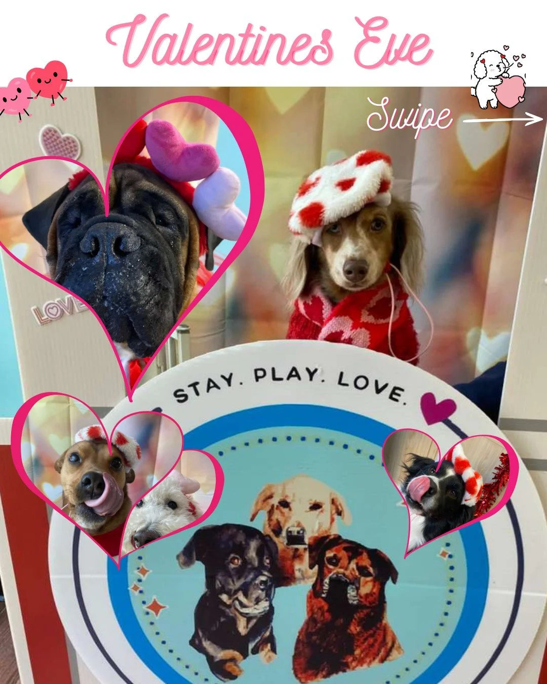 The Kissing Booth has been busy 💋🐾
So many sweet pups sharing the love this week ❤️

Tomorrow we celebrate big at our Valentine&rsquo;s Pawrty &mdash; festive treats, fun toys, and plenty of playtime with friends 💘🐶

Wouldn&rsquo;t spend Valentin
