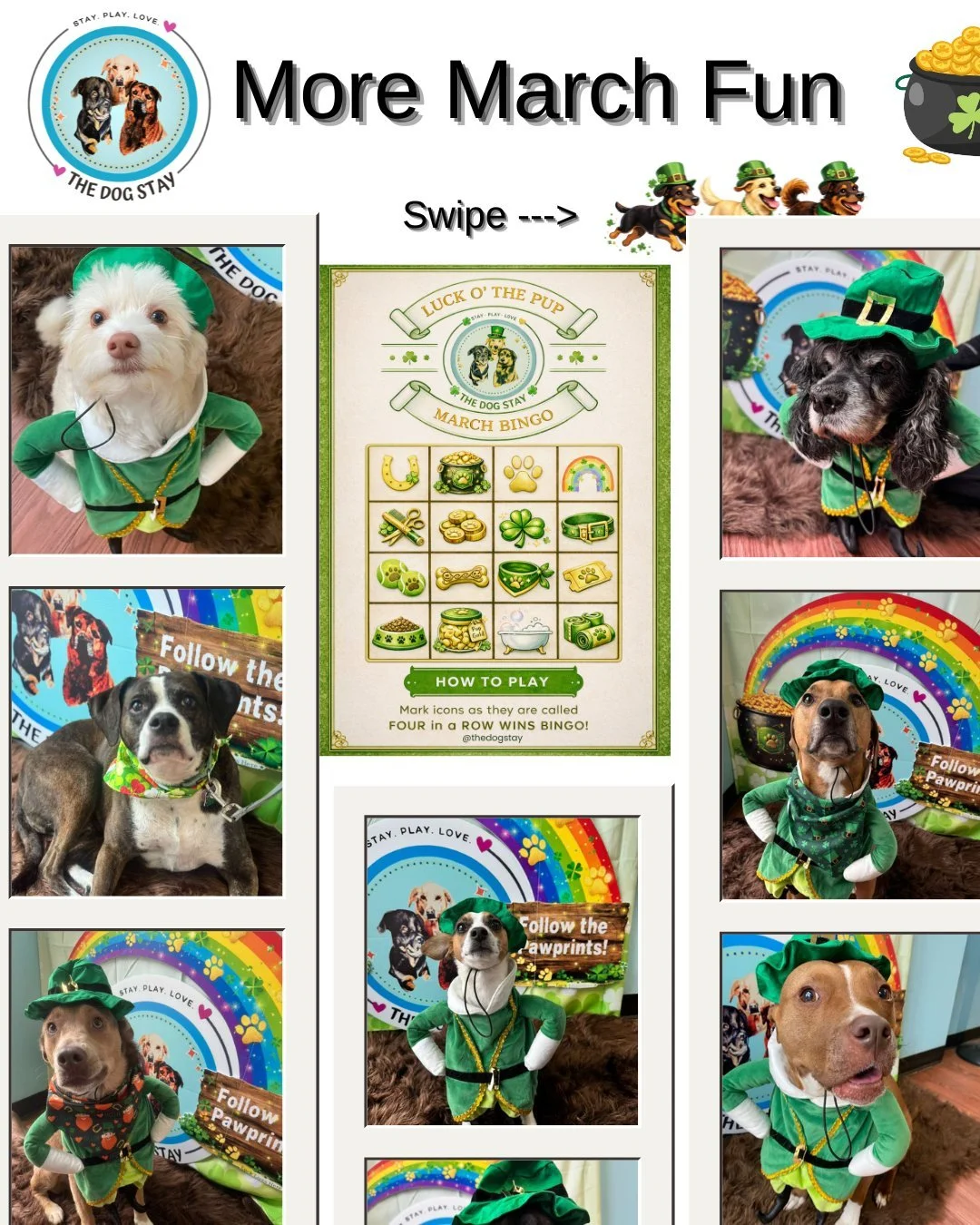 Lucky pups, incoming! 🌈🐶🍀

Our St. Paw-trick&rsquo;s Day crew is already dressed for the occasion &mdash; and the fun is just getting started.

Don&rsquo;t forget to pick up your March Bingo card at The Dog Stay office!
The first icon will be anno