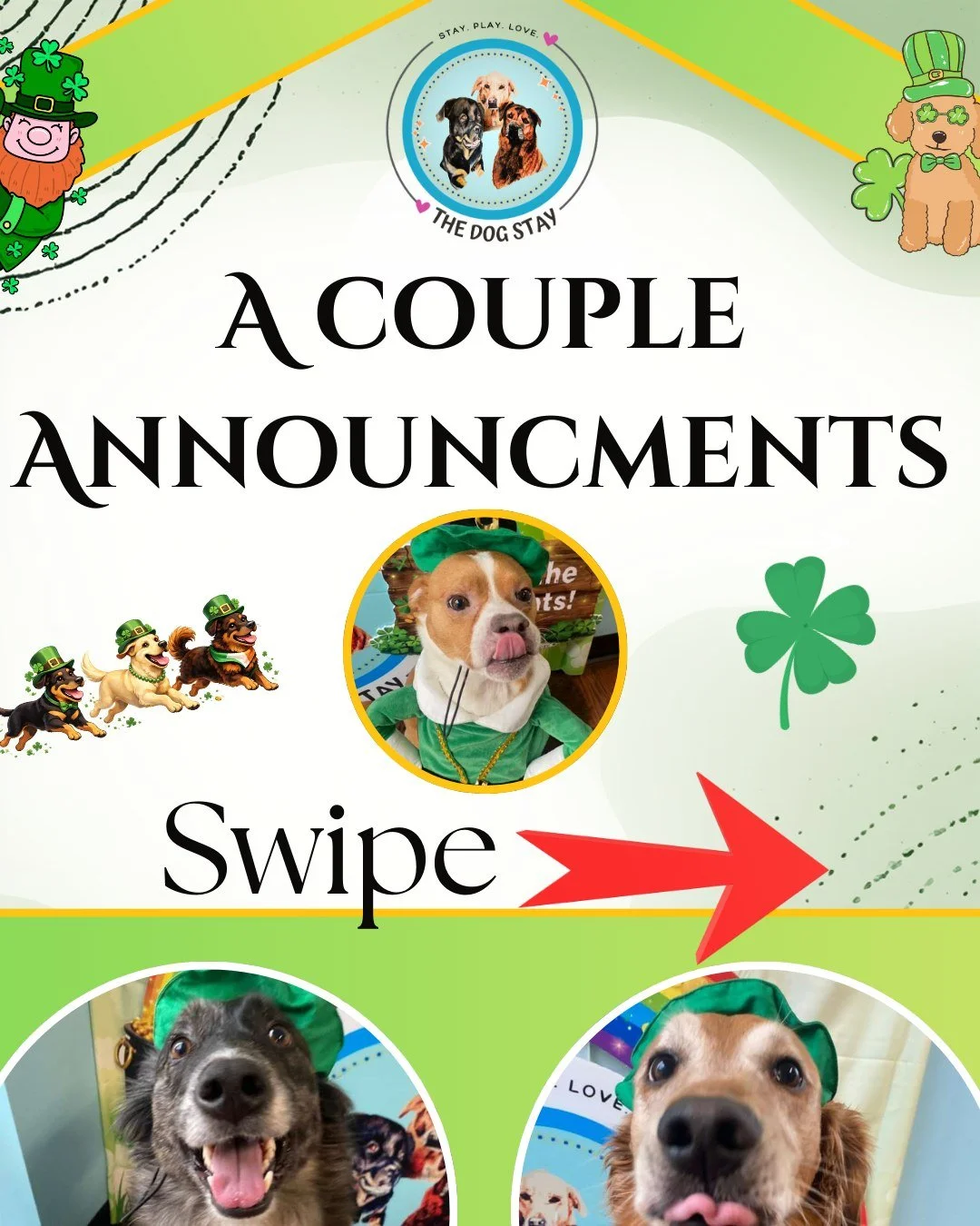 Another Luck O&rsquo; The Pup Bingo icon has arrived 🍀

Today&rsquo;s reveal: 💵 Money!
Check those cards and get ready &mdash; the next icon drops next Wednesday by 7pm on Instagram, Facebook, and the website.

And the fun keeps rolling&hellip;
Our