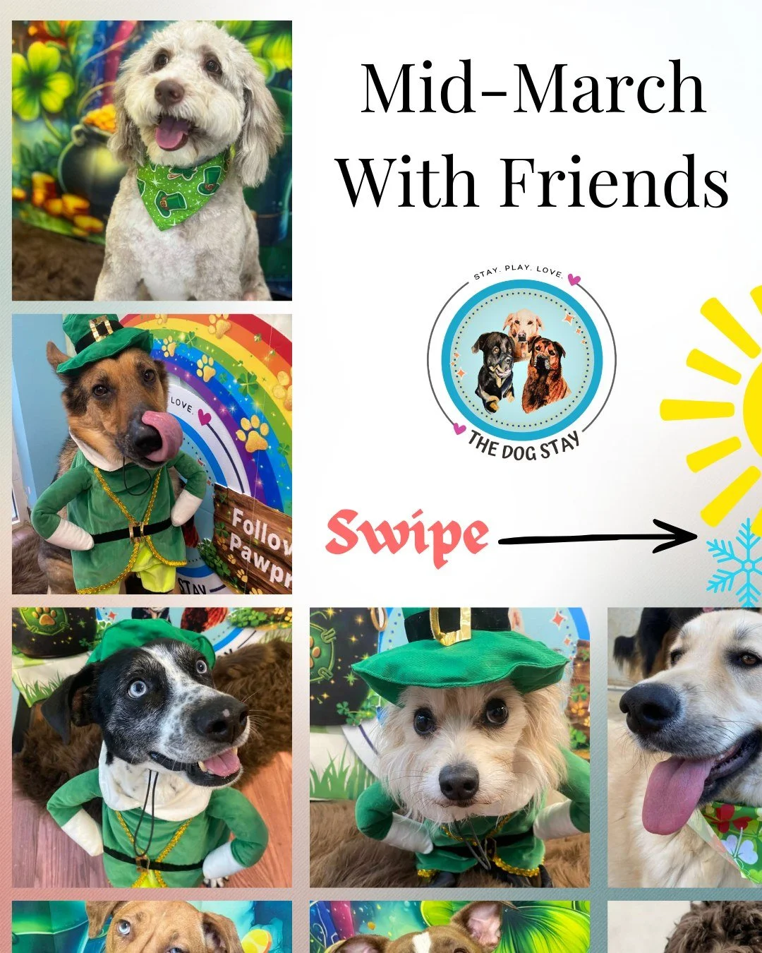Yesterday: 80&deg; and sunshine ☀️
Today: snowflakes ❄️

March is doing its thing&hellip; but the pups are happy either way. Outdoor play with friends and a few photo booth moments inside to capture the fun 🐾📸

#TheDogStay #CrateFreeDaycare #HappyD