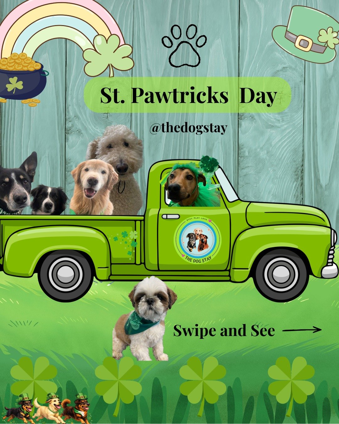 ☘️ The St. Pawtrick&rsquo;s Day Pawrty is in full swing! ☘️
From festive treats and toys to costumes, playtime inside and out, and cozy moments with their pack&hellip; today has been all about fun, friends, and a little extra luck 🍀🐾

#TheDogStay #