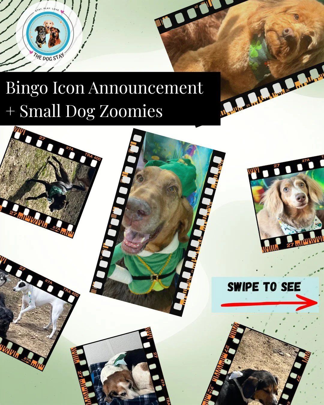 🌈 Bingo Reveal #3! 🌈
The Rainbow has officially landed on your Luck O&rsquo; The Pups cards 🍀

Only ONE icon left &mdash; final reveal next Wednesday by 7PM 👀

Also&hellip; can we talk about these small pup zoomies from yesterday?! 😅💨
Thank you