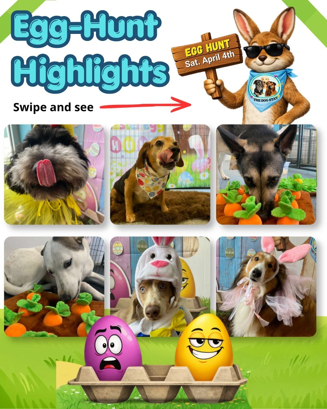 These pups don&rsquo;t just play&hellip; they HUNT 🐾🥚
Puzzles solved, treats discovered, and costumes on point. Yesterday&rsquo;s egg hunt was next level fun @thedogstay . 

#TheDogStay #CrateFreeDaycare #HappyDogs #SilverSpringMD #dmvdogs #silvers