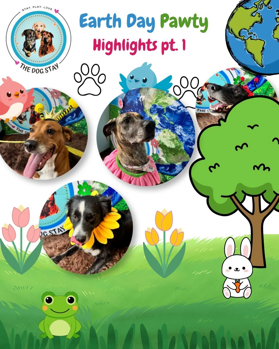 Earth Day Pawty 🌎🐾
Highlights Part 1

Good pups. Green vibes. Great day 💚
More to come...

#TheDogStay #CrateFreeDaycare #HappyDogs #SilverSpringMD #dmvdogs #silverspringdogs #MontgomeryCountyMD @silverspringdowntown  @thedogstay