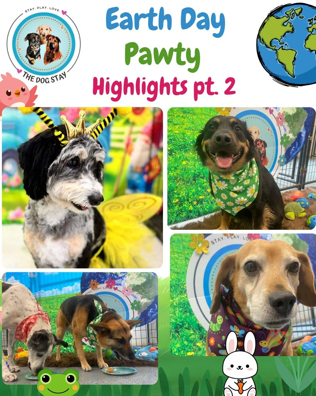 Celebrating Earth Day the Dog Stay way 🌎💚

Outdoor play, balanced pack time, and pups dressed for the occasion, toys, treats and fun. 🐾🌿

Part 2 of the highlights.

#TheDogStay #CrateFreeDaycare #HappyDogs #SilverSpringMD #dmvdogs #silverspringdo