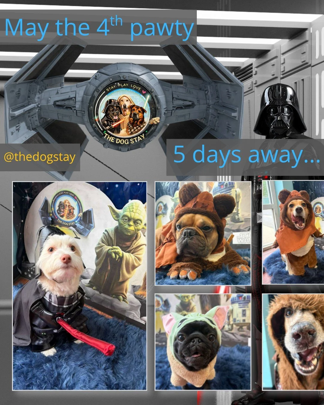 Across the galaxy&hellip; the pack assembles 🌌🐾
New heroes have arrived, and the force is strong with every one of them.

6 days until May the 4th Be With You ✨
Stay tuned&hellip;

#dmvdogs #maythe4thbewithyou #starwars #starwarscosplay #silverspri
