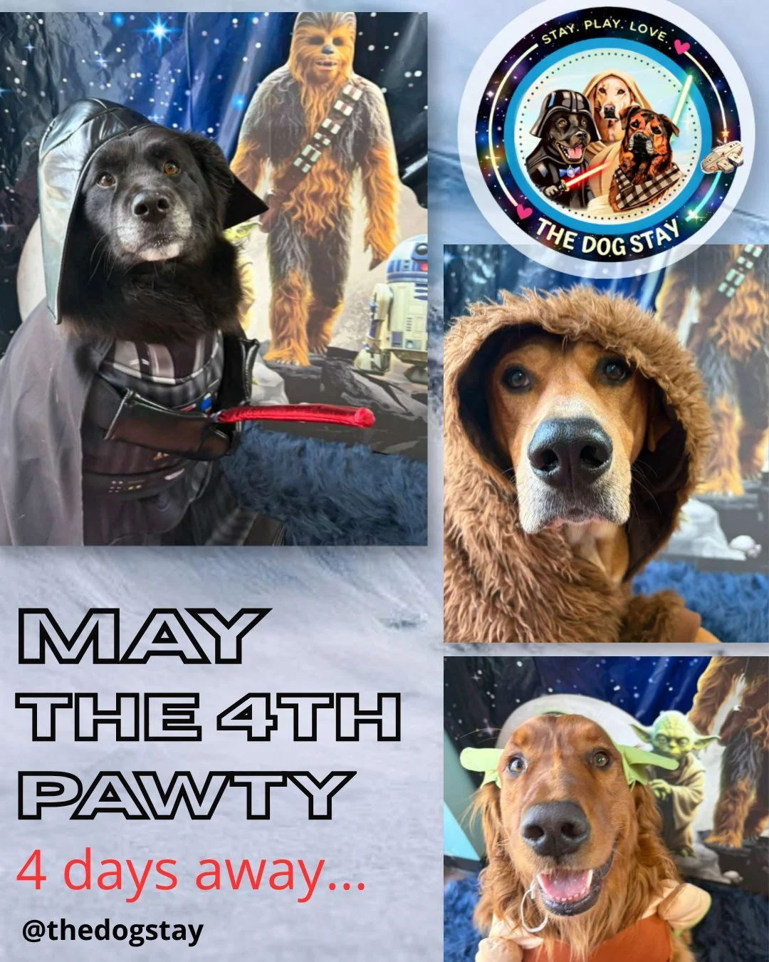 The squad just leveled up 🐾✨
New pups, new costumes, same amazing energy.

4 days until our May the 4th Be With You Pawty 🌌
We&rsquo;re just getting started @thedogstay &hellip;

#TheDogStay #CrateFreeDaycare #HappyDogs #SilverSpringMD #dmvdogs #si