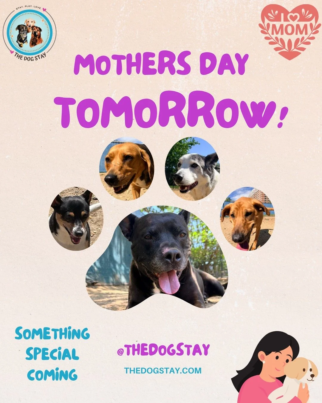 The pups are soaking up the sunshine and getting ready to celebrate all the amazing dog moms tomorrow @thedogstay 🌸🐶💛 

#TheDogStay  #HappyDogs #SilverSpringMD #dmvdogs #silverspringdogs #MontgomeryCountyMD #mothersday @silverspringdowntown