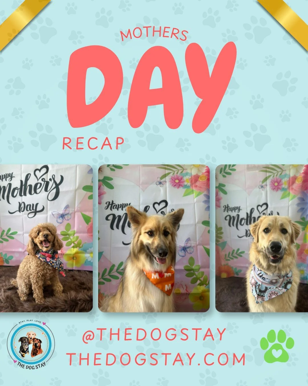 💐 A beautiful Mother&rsquo;s Day at The Dog Stay. 🐾

From outdoor adventures ☀️ to playtime with friends and lots of happy tails, we loved spending the day making memories with your pups @thedogstay .

Thank you to all the amazing moms and pup moms