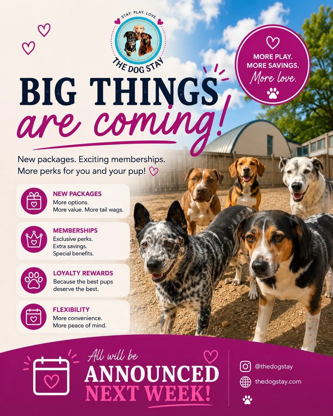 Something exciting is on the way&hellip; 🐾💜

More flexibility.
More savings.
More perks for our amazing pups &amp; pawrents.

Stay tuned&hellip; the next chapter of The Dog Stay is almost here 💜

#TheDogStay #SilverSpringDogs #DogDaycare #DogBoard