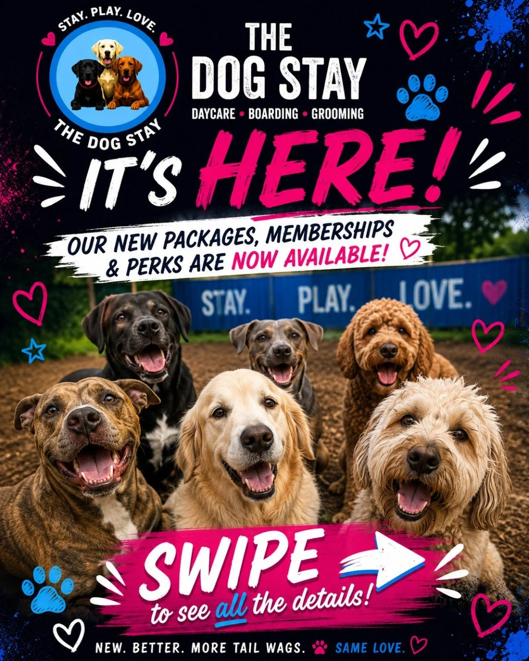🚨 THEY&rsquo;RE HERE! 🚨

After lots of planning, feedback, brainstorming, and tail-wagging inspiration&hellip; our new Packages, Memberships &amp; Perks are officially live! 🐾✨

From daycare day packs, to grooming savings, to extended care options