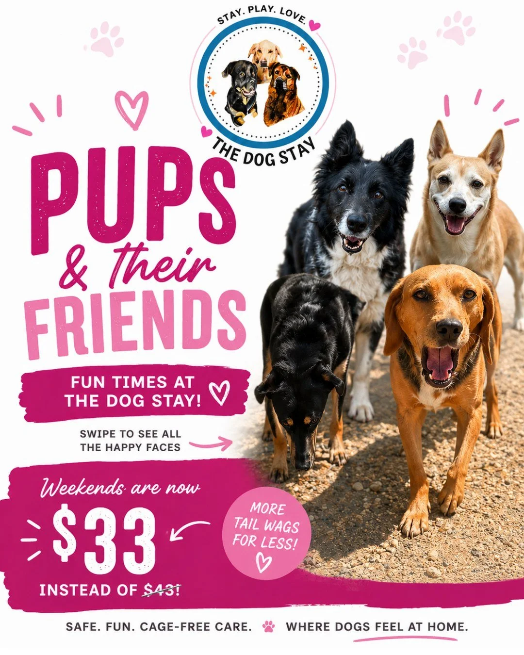 Friends, sunshine, zoomies, and lots of tail wags. ☀️🐾

Here's a look at some of the pups who have been making memories together at The Dog Stay the last few days.

And a friendly reminder &mdash; Weekend Daycare is now just $33 (down from $43)! 🎉
