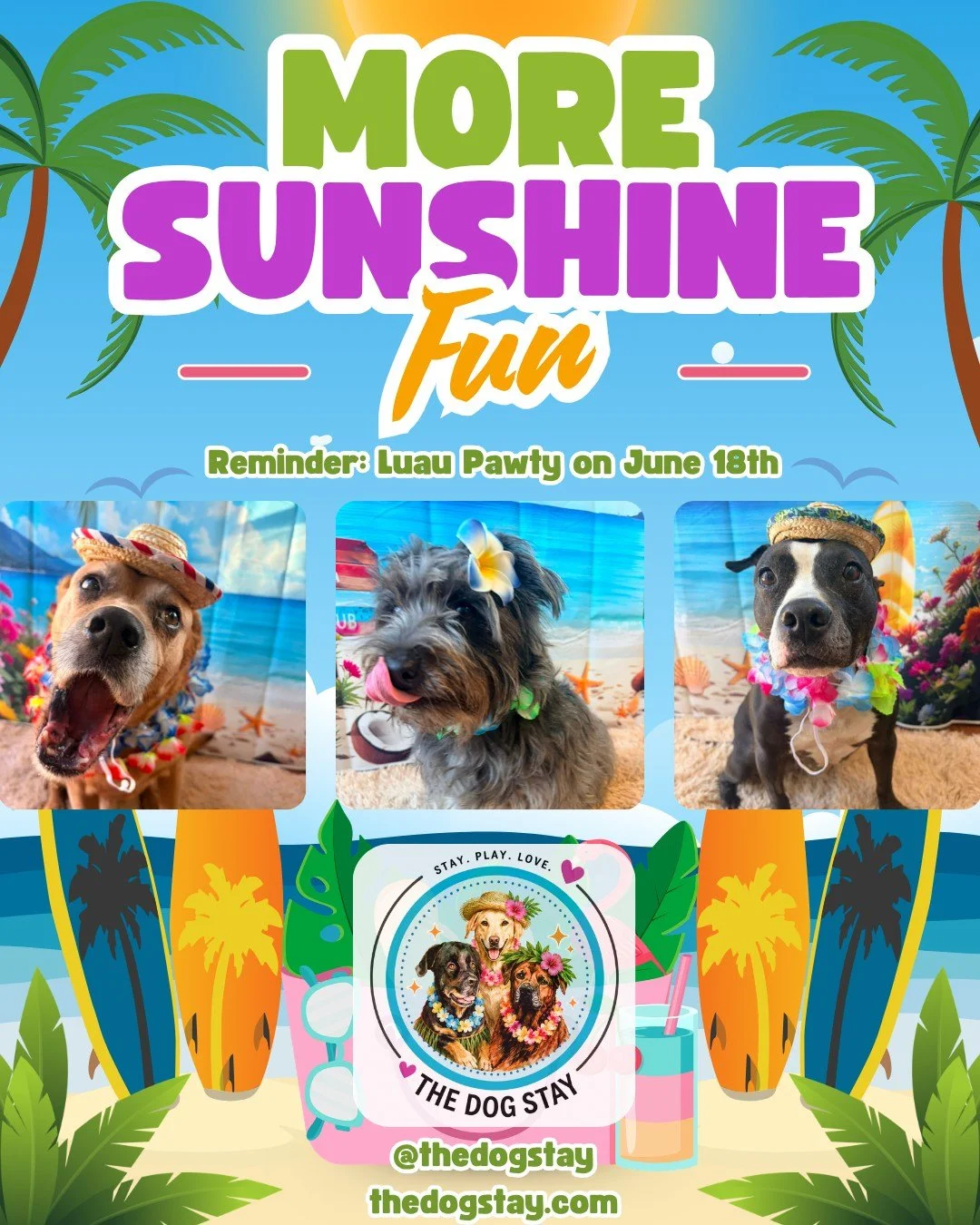 Summer is just around the corner, but the weather thinks it's arrived and so have  pups @thedogstay .  Check out awesome Luau gear being showcased the last couple days, ahead of the Pawty on June 18th. 🐾🌴☀️

#silverspringmd #dmvdogs #silverspringdo
