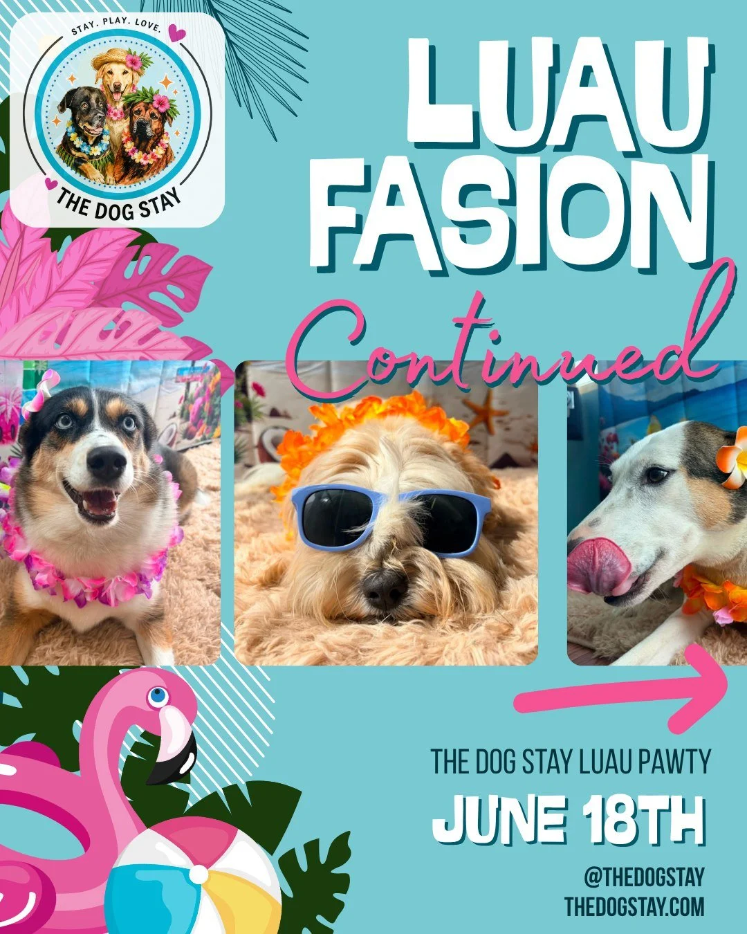 Warm Weather 🔆 = ✅
Fasionable Pups 🕶 = ✅
Another fun event coming June 18th 🌴 = ✅

The pups had another fun weekend with their friends and new gear @thedogstay .  Check them out.

#dmvdogs #SummerVibes #montgomerycountymd #SilverSpringEvents @silv