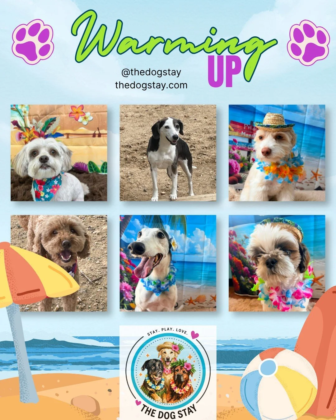 🌞🐾 Sunshine, playtime, and plenty of tail wags!

From zoomies in the yard to cozy naps with friends, our pups have been making the most of these beautiful days. And with our Luau Pawrty just around the corner on June 18th, some of our guests are al