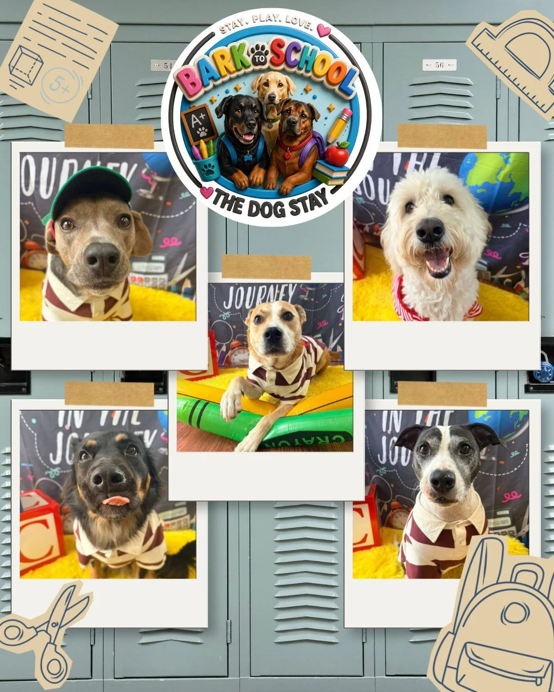 School is still in session for the pups at The Dog Stay. 🍎🐾

Awesome gear, and activities with outdoor fun. 🔆🕶

Now it's already time for a long weekend. 💕🐾

Check out some moments from the last couple days. @thedogstay 

 #dogsoﬁnstagram #DogL