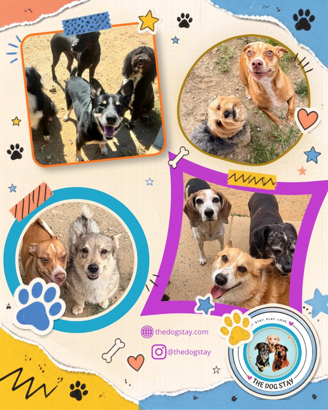Indoor Fun ✔ 🧩
Outdoor Fun ✔ 🕶
Rest and Relaxation ✔ 💤

Check out some examples of the above from the last few days The Dog Stay 💕🐾

 #silverspringmd #dogsofinstgram #DogDaycare #montgomerycountymd #happydogs #silverspringmaryland