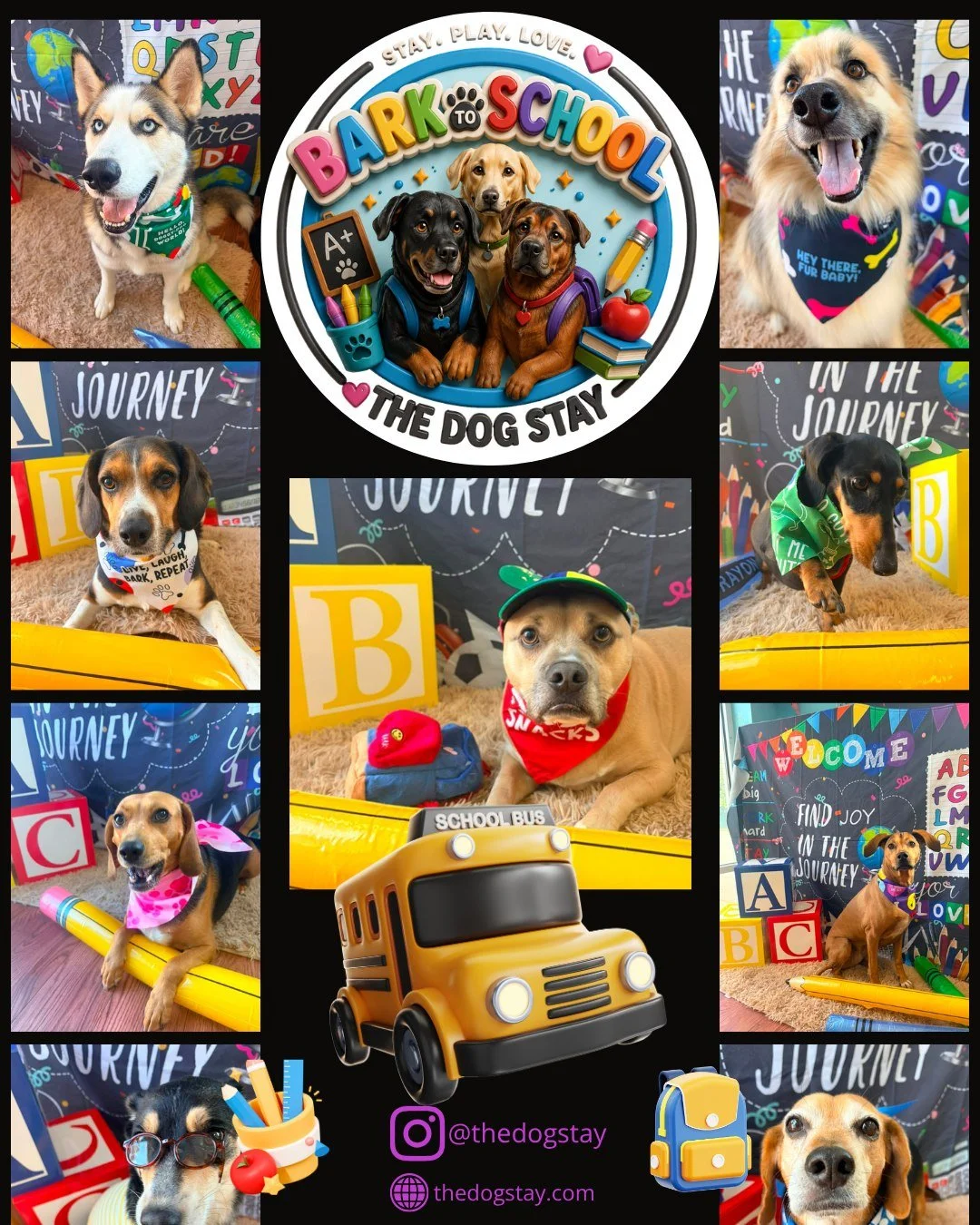 📚🎒 Class is officially in session... and our pups are already earning straight A's in Adventure, Affection, and Awesomeness! 🐾💙

Our Bark to School celebration has begun! Throughout September, we'll be sharing themed activities, enrichment, adora