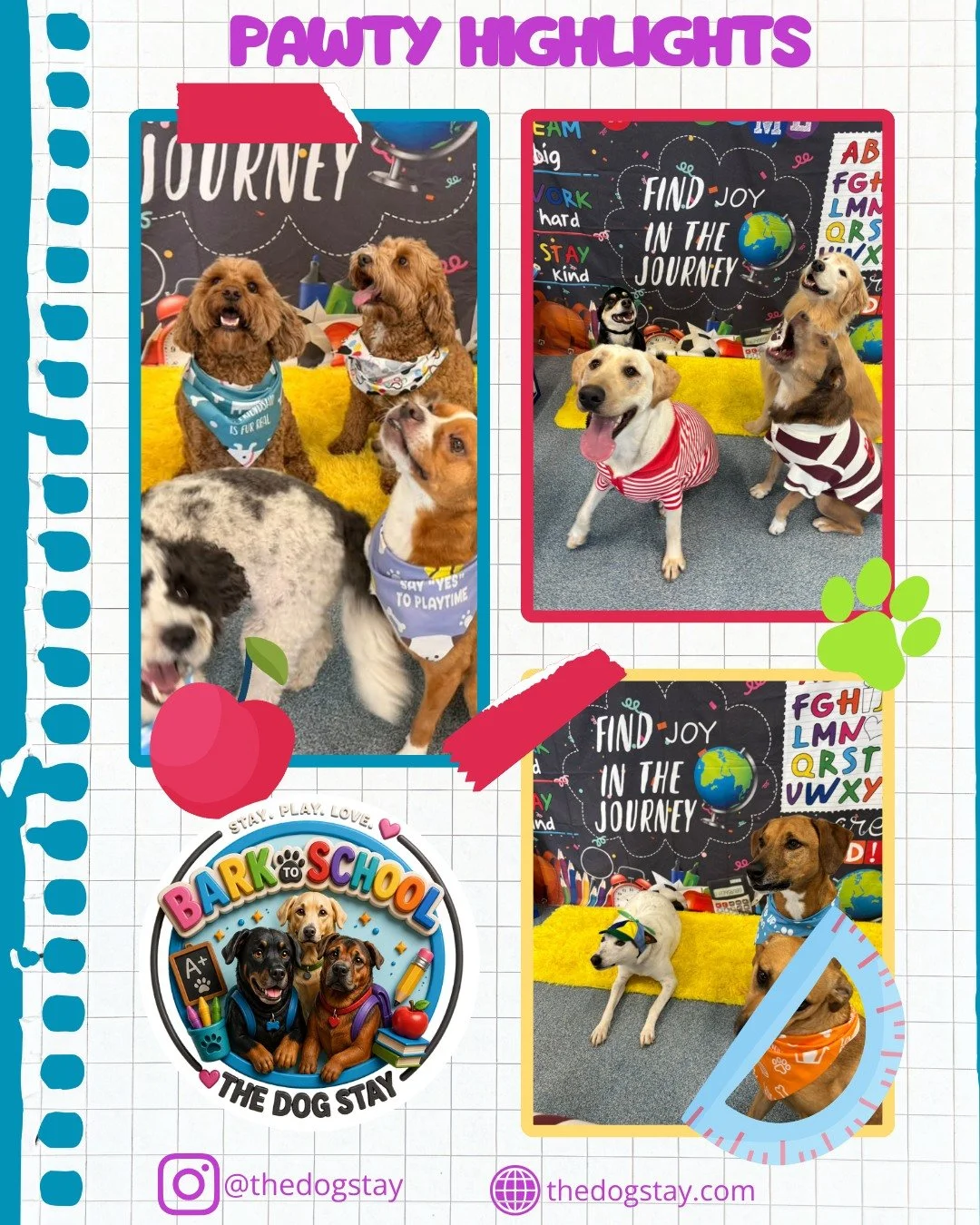 The pups had a wonderful Bark to School Pawty yesterday. 🐾🎉

Thank you for all the pawrents, pups, and crew for making it happen. 💕

Check out some highlights. 📸🍎