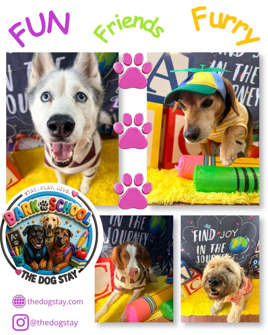 Bark to School fun continues at The Dog Stay. 🍎🐾

Check out some fresh looks and recess fun with the pups the last couple days. 🐾💕

@thedogstay #happydogs #dmvdogs #DogLovers #dogsoﬁnstagram #DMVDOGS #SILVERSPRINGMARYLAND