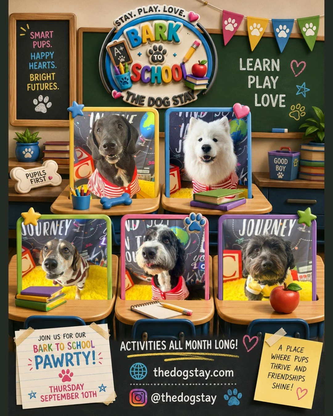 📚🐾 School is back in session at The Dog Stay! 🎒🐶
Our students have been busy making friends, learning new tricks, and posing for their Bark to School photos over the last couple of days. 💙 Stay tuned&mdash;our Bark to School Pawrty is coming Thu