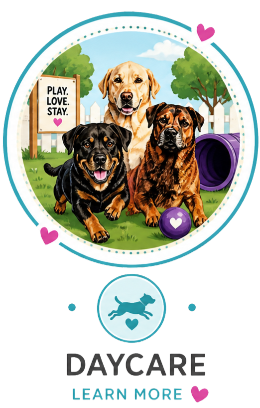Learn More about Daycare