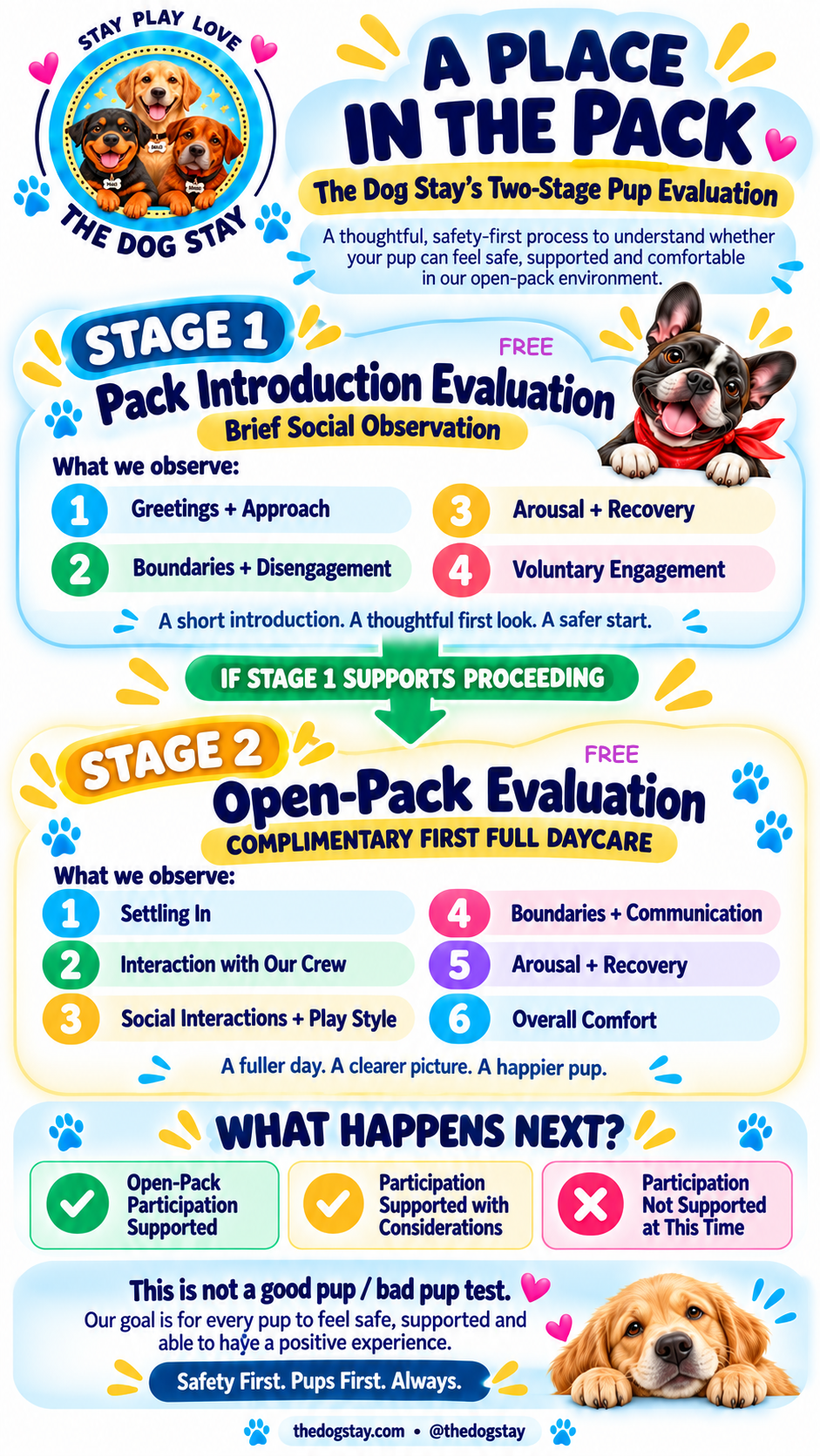 A colorful infographic explaining a two-stage puppy evaluation process used by The Dog Stay. Stage 1 is a free pack introduction assessment with social observations, followed by Stage 2, a free open-pack evaluation with full daycare. The flyer emphasizes safety, positive experiences, and encouraging puppies' well-being.