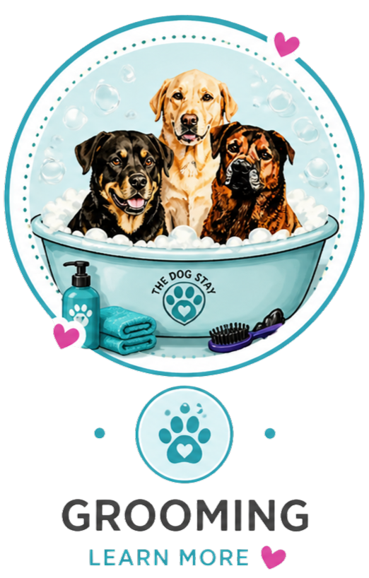 Learn more about Grooming