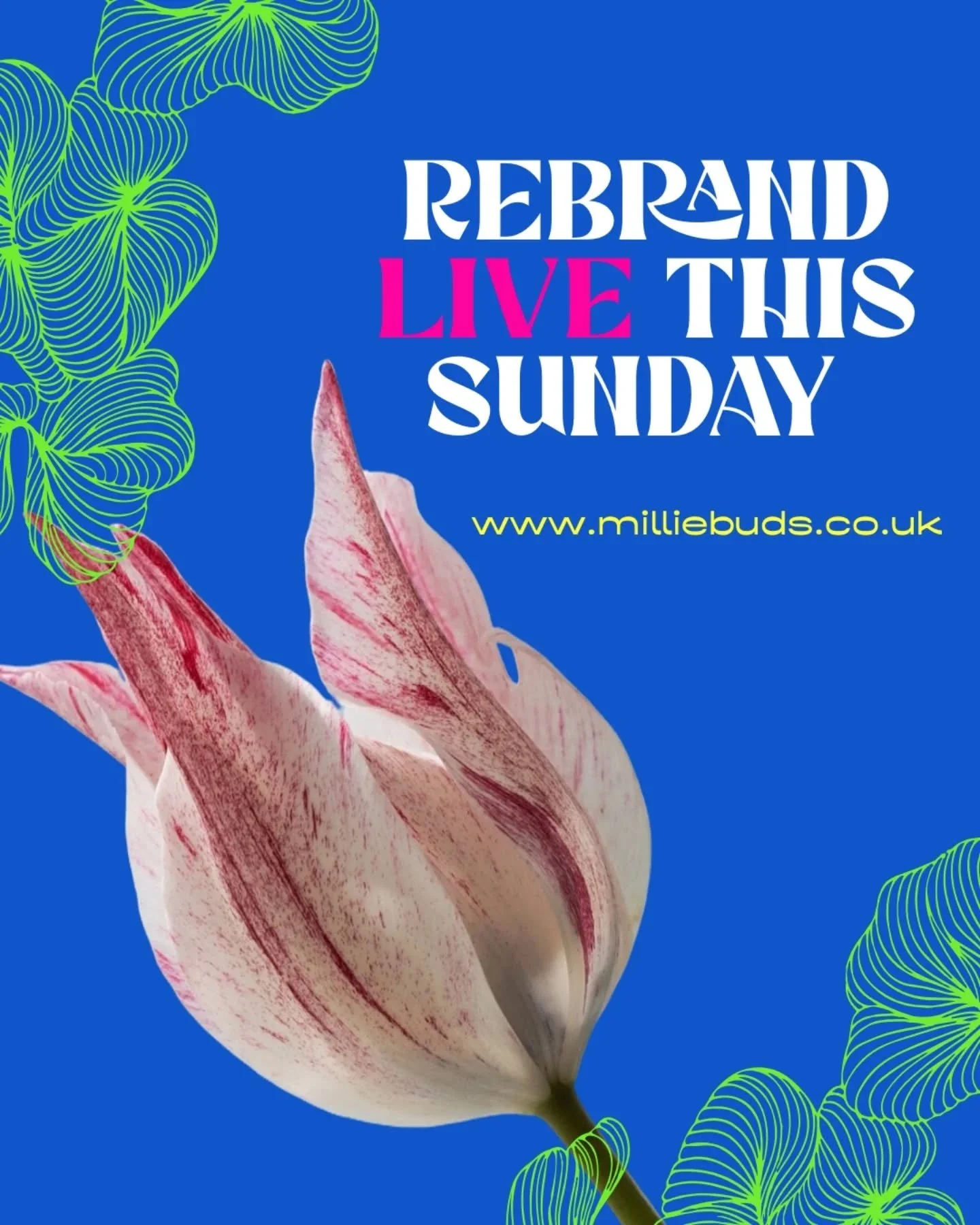 The full MillieBuds rebrand will be going live this&nbsp;Sunday&nbsp;🌸

This update has been shaped by the kind of work I want to create more of &mdash; bold, colourful, flower-heavy designs for couples who truly love colour as part of their wedding
