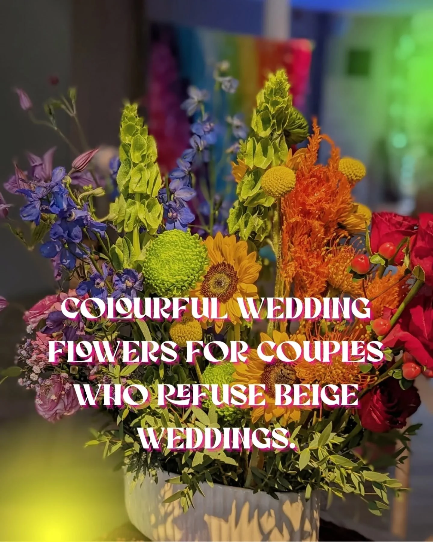 MillieBuds is for the couples who want their wedding to feel like something.

The ones who choose colour like it&rsquo;s a personality trait.
Who&rsquo;d rather be remembered than blend in.
Who trust the process, lean into the wild ideas, and say &ld